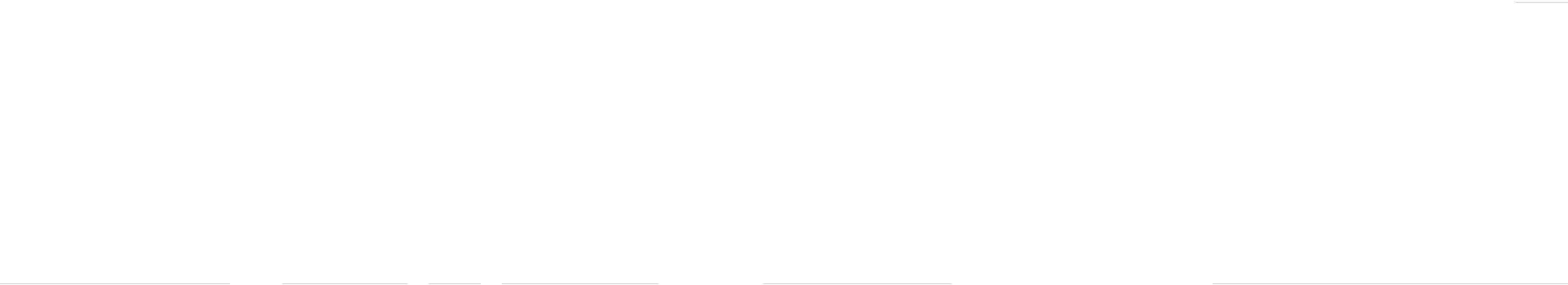 Chipnomad wordmark